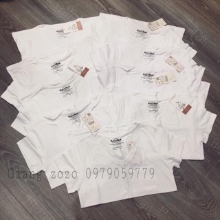 ÁO PULL CỔ TIM