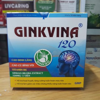 GINKVINA 120 - Hoạt Huyết Bổ Não - Hộp 10 vỉ x 10 viên