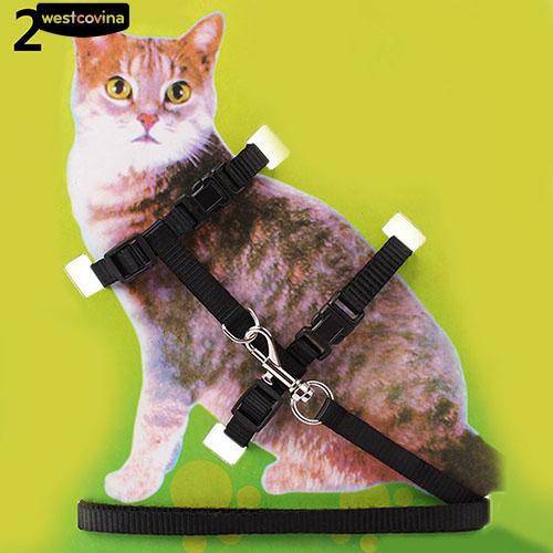 Dây xích cổ bằng nilon màu sắc đáng yêu cho mèo