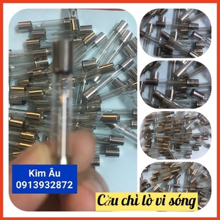 [Rẻ vô địch] [Có sẵn] Cầu chì lò vi sóng