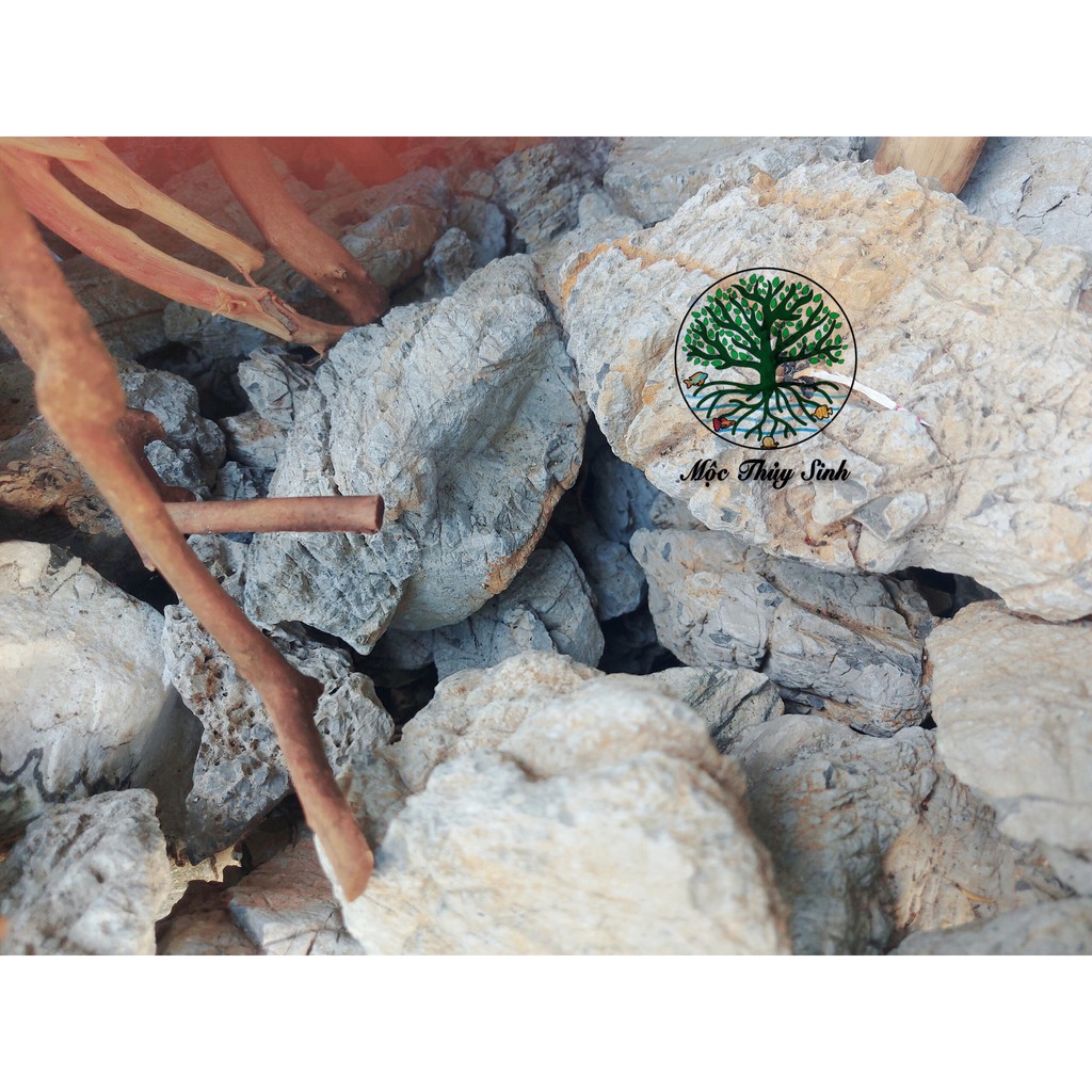 Đá da voi SIÊU VÂN trang trí hồ thuỷ sinh