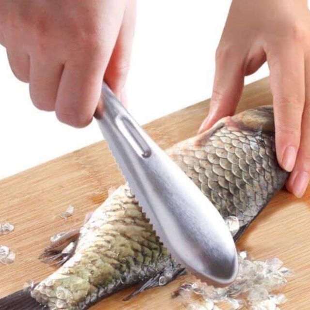 Dụng Cụ Đánh Vẩy Cá Inox Đa Năng Cook&Coock TT