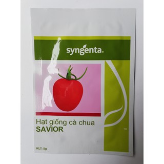 HẠT GIỐNG CÀ CHUA SAVIOR - 5G - Bán buôn, bán lẻ hạt giống Uy tín SẮP NGỮ