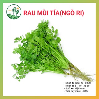 Hạt Giống Rau Mùi Tía - 50g - Thu Hoạch Nhanh