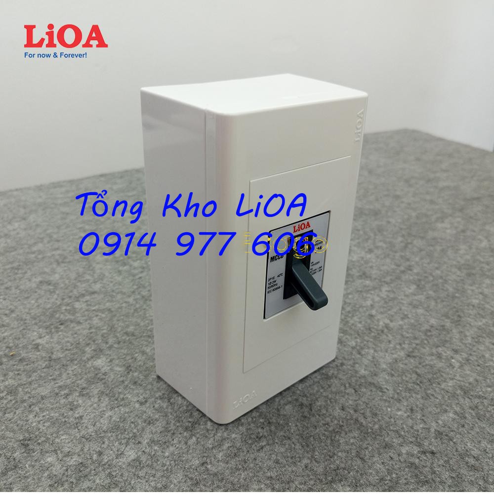 Combo cầu dao tự động an toàn APTOMAT LiOA loại 2 cực 2 tiếp điểm - Lắp nổi lớn