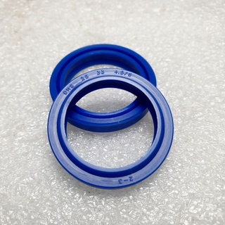 Phớt chắn bụi DHS 25-33-4.5/6