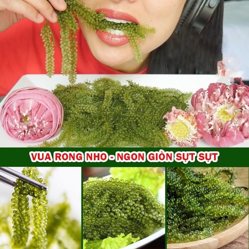 Hộp 200gr Rong nho green food cao cấp organic tách nước tặng kèm 5 gói sốt mè rang kewpie