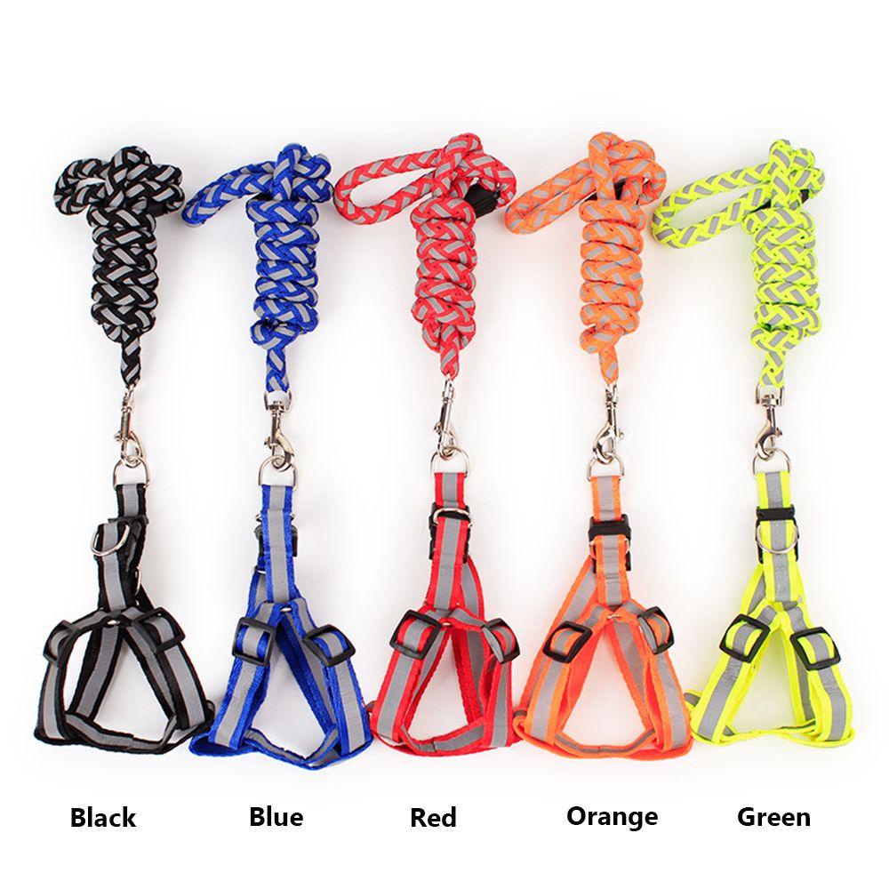 Đai Dắt Thú Cưng Phản Quang Tiện Dụng