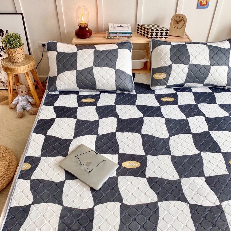 Set Chiếu Điều Hoà Cao Su - Hàng Chống Thấm Hàng Loại 1 (shinbedding)