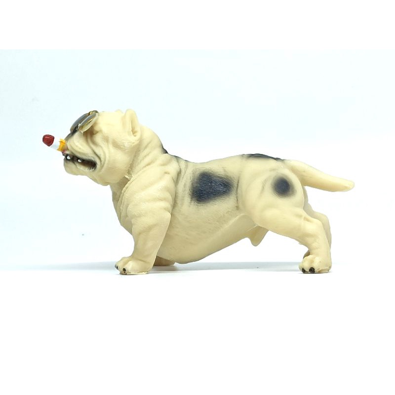 Chó Bull đặt tablo