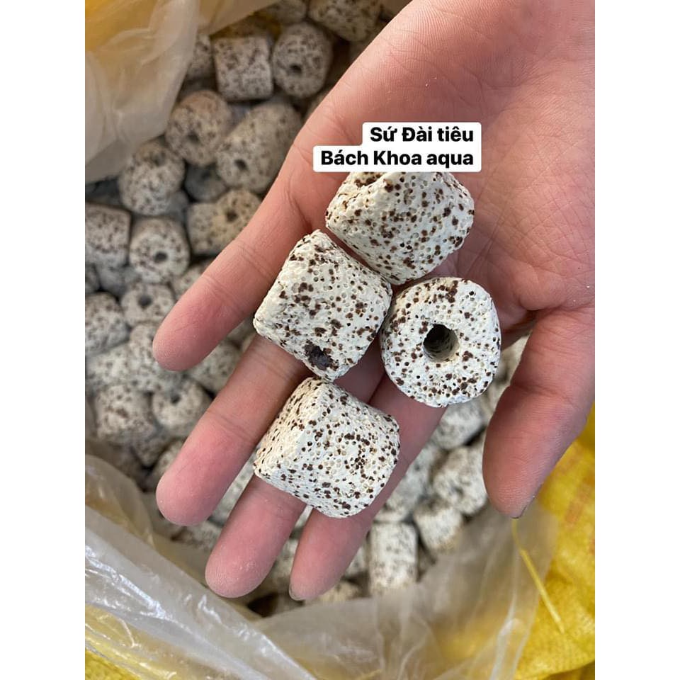 Sứ Trụ tiêu Đài Loan