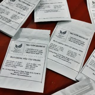 Hạt giống chà là thái