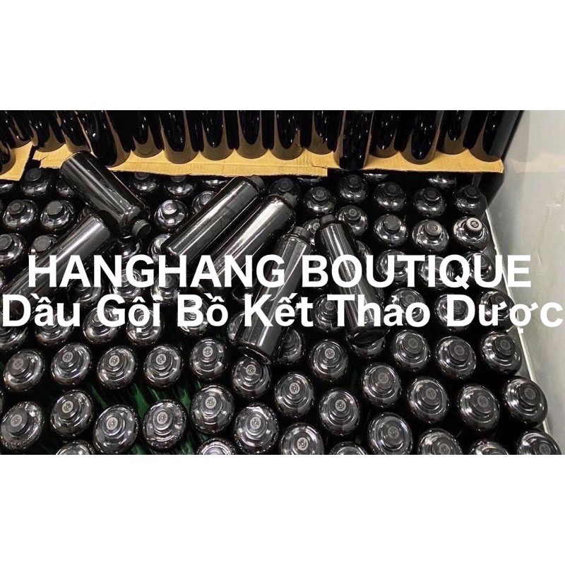 Dầu Gội Thiên Nhiên Bồ Kết Thảo Dược Cô Đặc Handmade - Kích Tóc Nhanh Dài Sạch Gàu Giảm Rụng | BigBuy360 - bigbuy360.vn