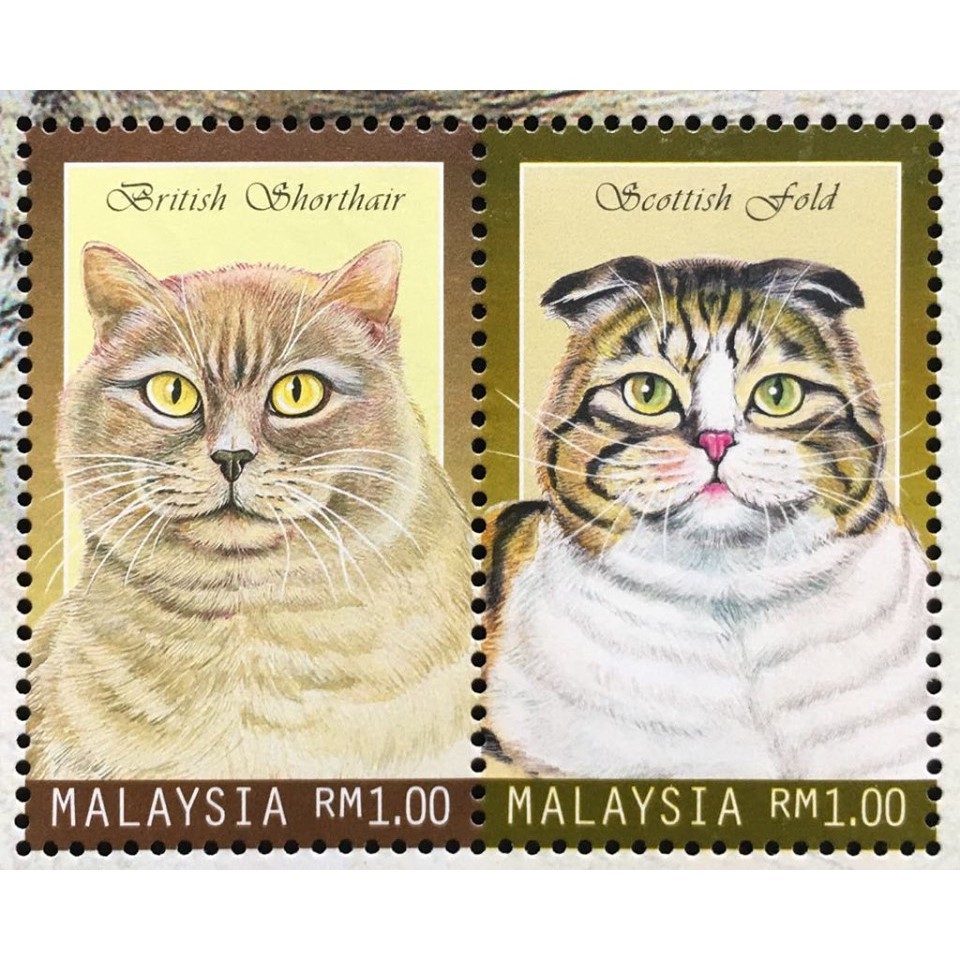 Bộ Tem Sưu Tầm Malaysia 1999 Các Loài Mèo Đáng Yêu - 4 Con Stamps.