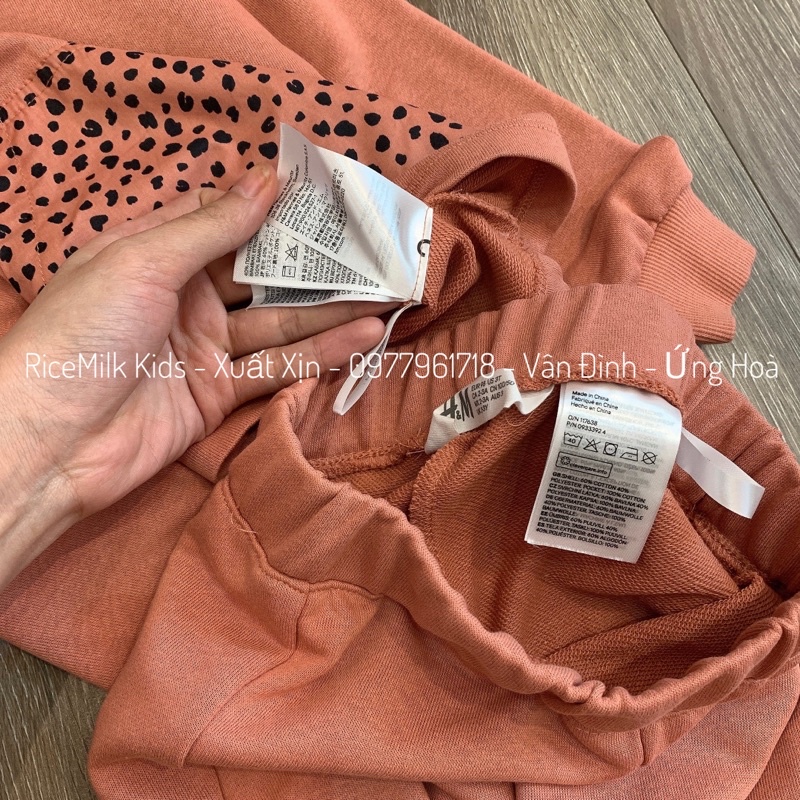 Bộ nỉ da cá hoodie màu cam đất túi hộp Hm cho bé gái