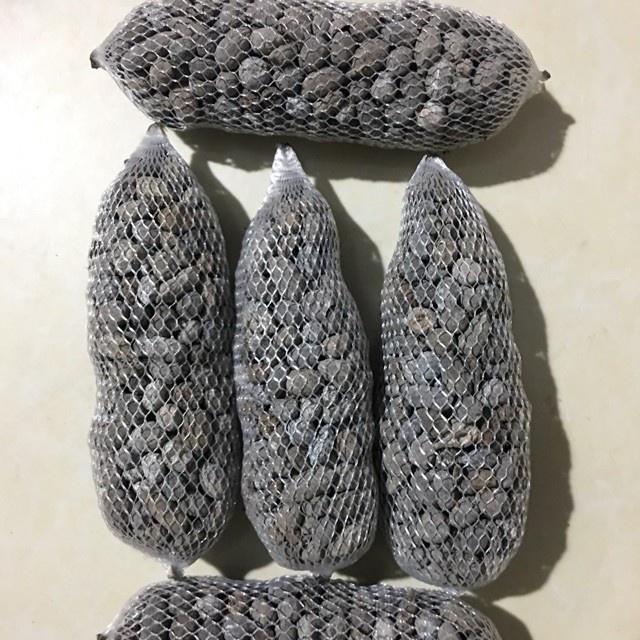 Combo 5 gói phân dê 10cm bón lan hàng đẹp, phân phối chuyên nghiệp.