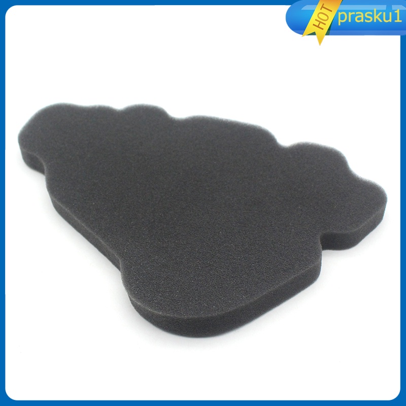 Bộ Lọc Khí Thay Thế Cho Xe Scooter 125 2000-2003 Prasku1 | BigBuy360 - bigbuy360.vn