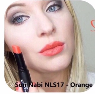 SON LÌ NABI LIPSTICK MADE USA