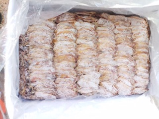 combo 30 con mực mini Bình Định