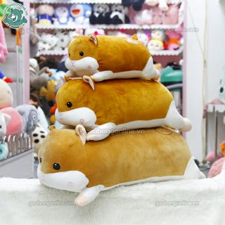 CHUỘT BÔNG HAMSTER