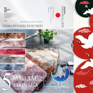 Thảm lau chân chùi mềm mại