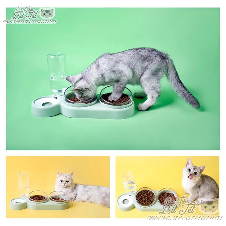 Bát ăn cho mèo ✨MUA 01 ĐƯỢC 03✨ Bát Đôi Nghiêng 15 độ & Xoay 360 độ cùng bình nước tự động. Bảo Vệ Cột Sống, Chống Nghẹn