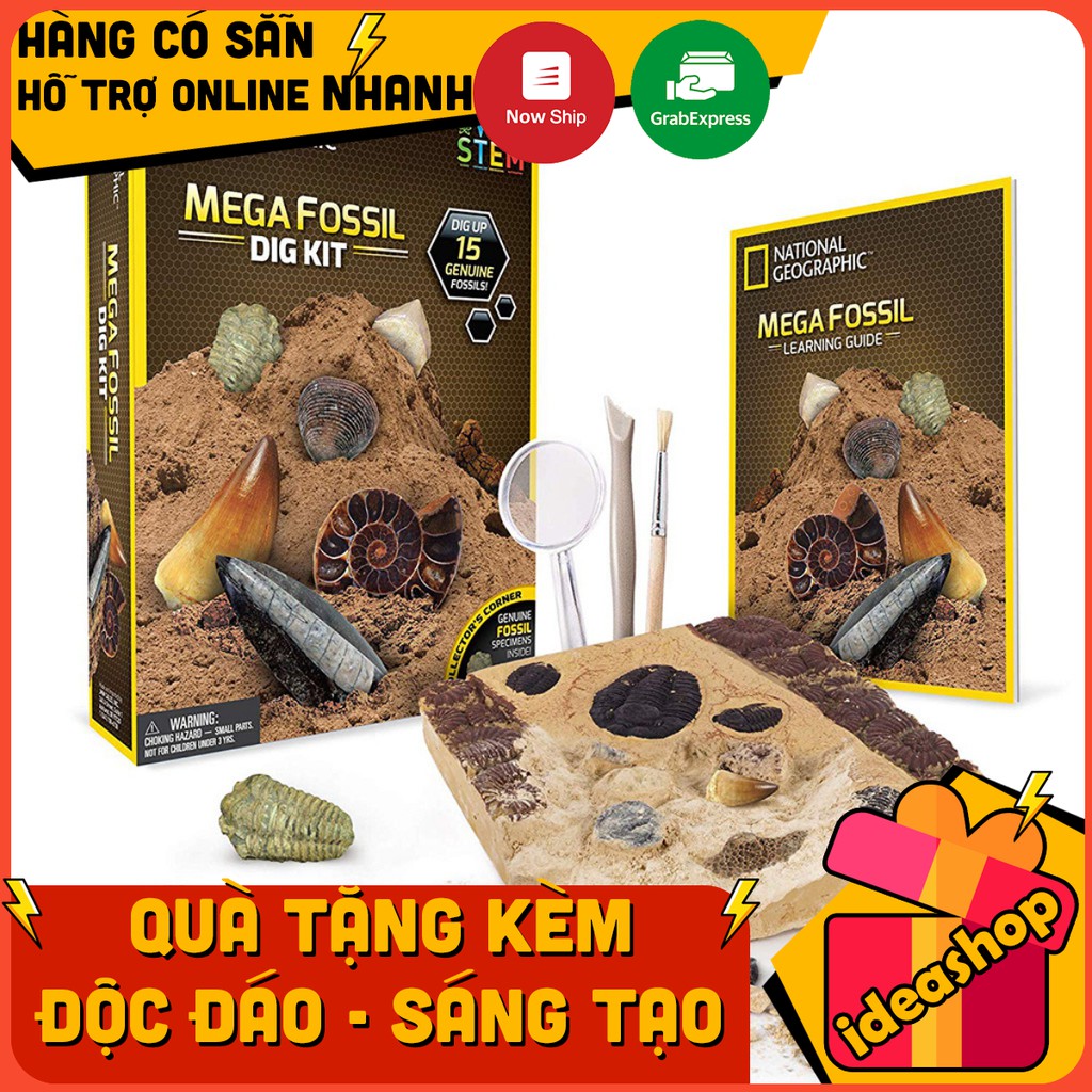 ĐỒ CHƠI KHẢO CỔ 15 HOÁ THẠCH QUÀ TẶNG CHO BÉ YÊU KHOA HỌC