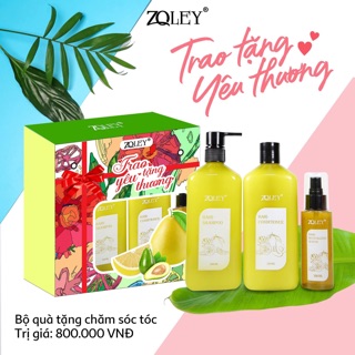 Dầu gội trị gàu hiệu quả giá siêu rẻ