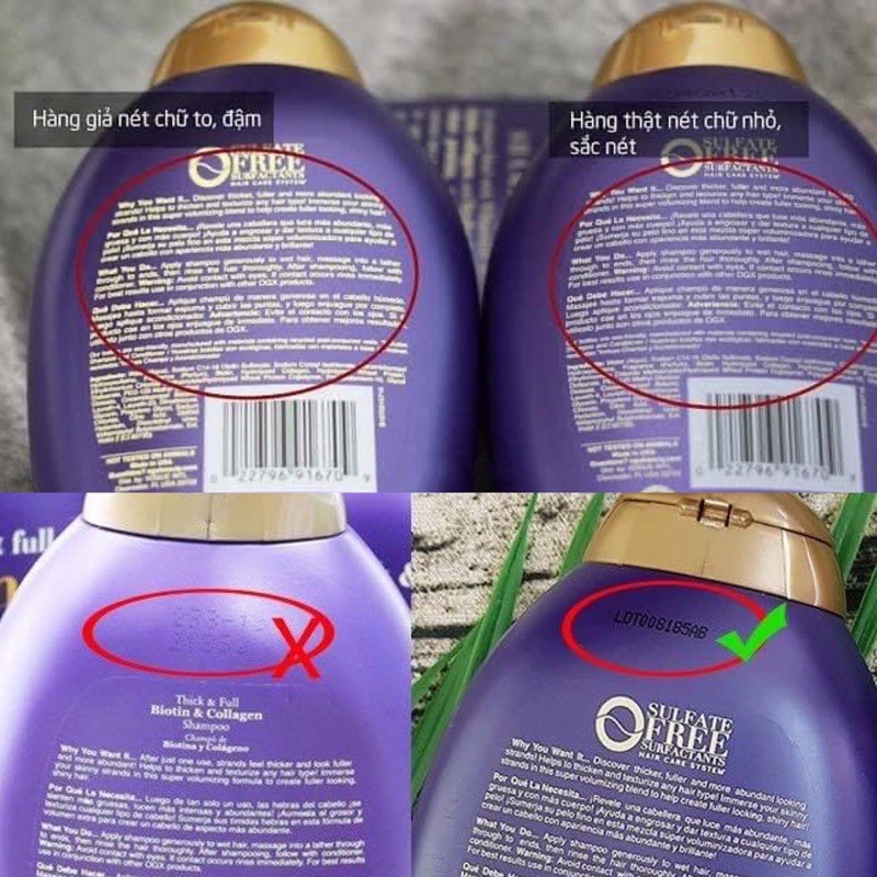 Cặp dầu gội xả Biotin chính hãng mỹ OGX kích mọc tóc | BigBuy360 - bigbuy360.vn