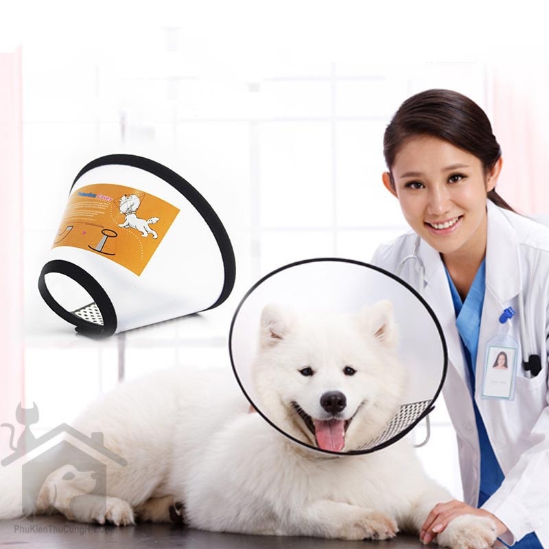 Loa Chống Liếm / Vòng Đeo Cổ Chống Liếm Cho Chó Mèo Thú Cưng