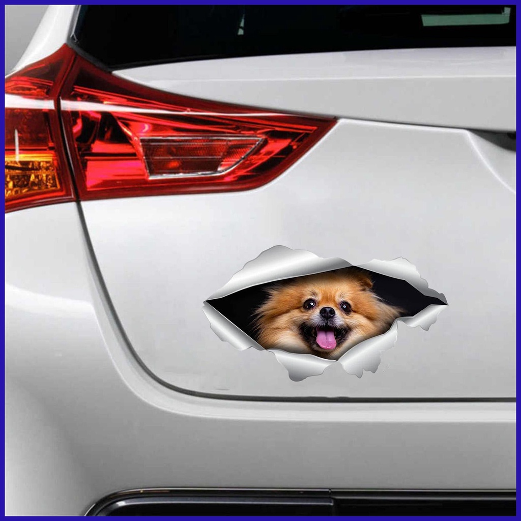 Miếng Dán Hình Chó Bull 3D Ngộ Nghĩnh Trang Trí Xe Hơi