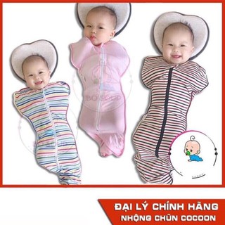 Nhộng chũn cocoon -bgv