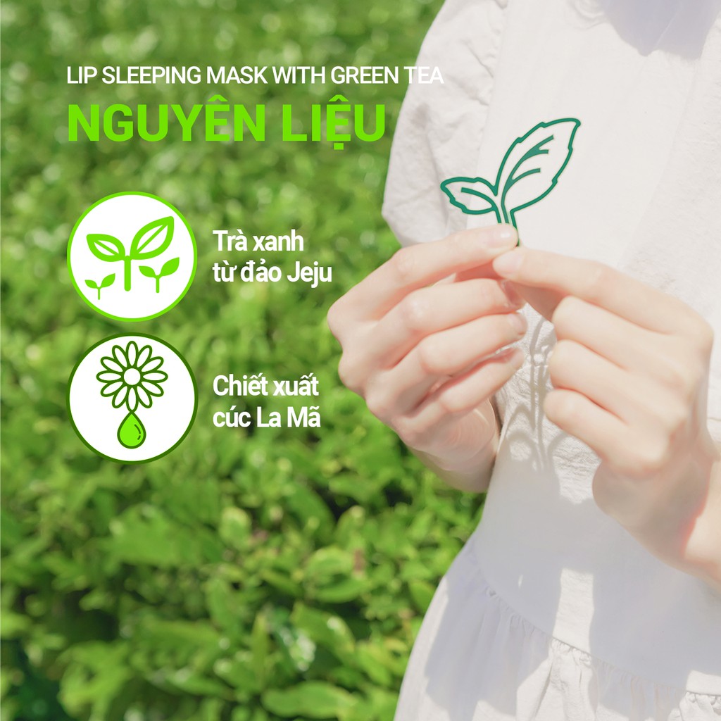 [Mã COSIF03 giảm 10% đơn 400K] Mặt nạ ngủ dưỡng ẩm trà xanh cho môi innisfree Lip Sleeping Mask With Green Tea 17g