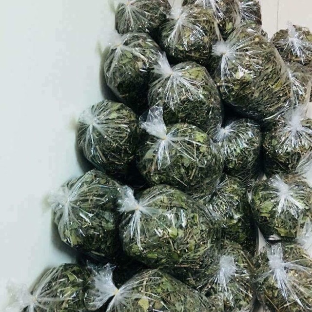 Chè vằng lá sẻ