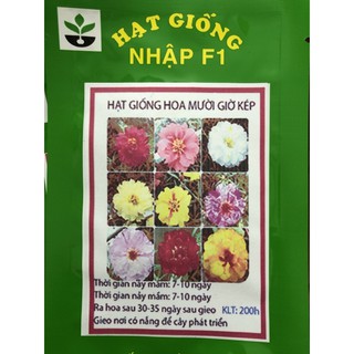 Hạt giống hoa mười giờ Mix 💐