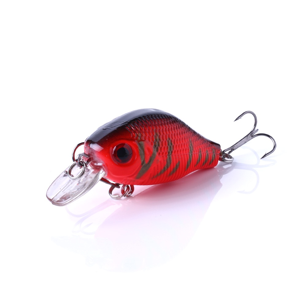 Mồi câu cá giả bằng nhựa cứng 5.5cm 8G