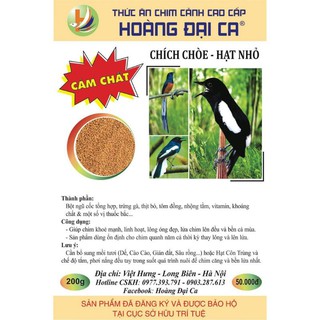 Cám Chim Chích Chòe Hoàng Đại Ca (Chích Chòe Lửa, Chòe Đất)
