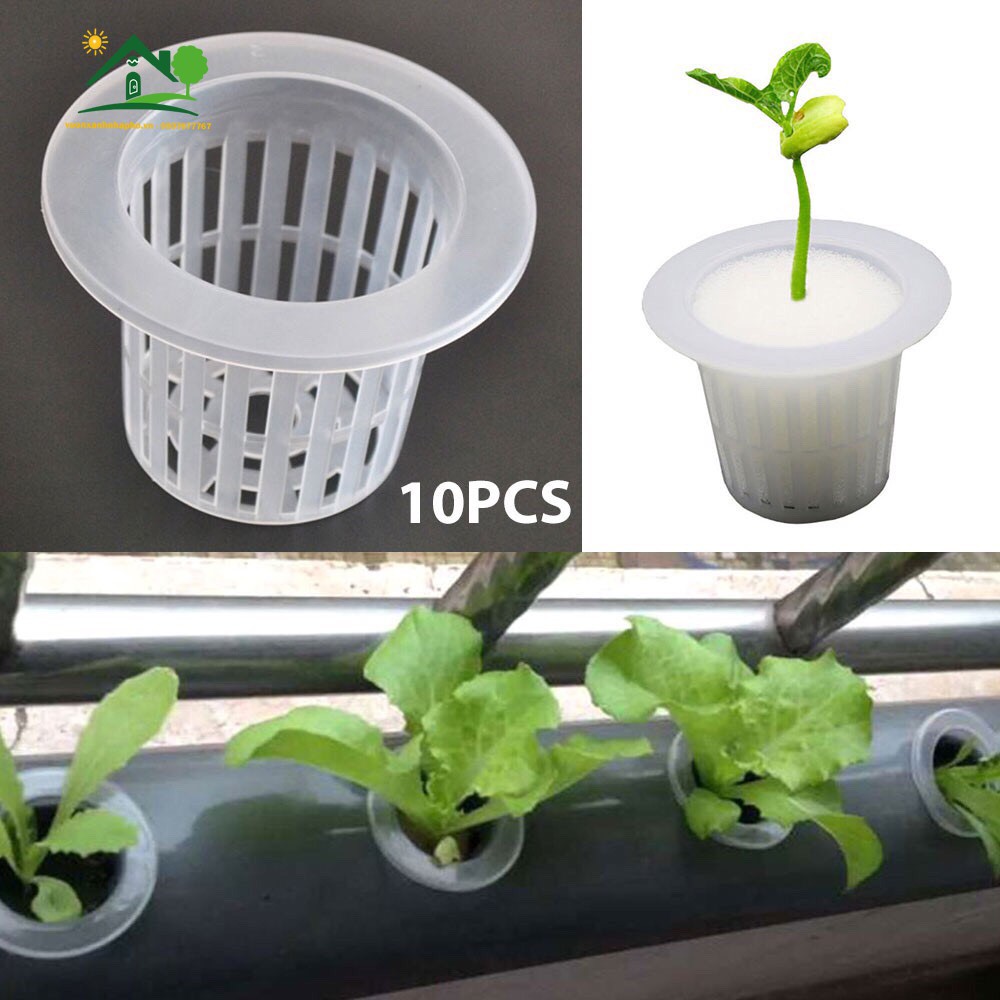 Combo 10 Rọ Nhựa Trong Trồng Rau Thủy Canh Hydroponics 45x31x45mm - 55x45x35mm