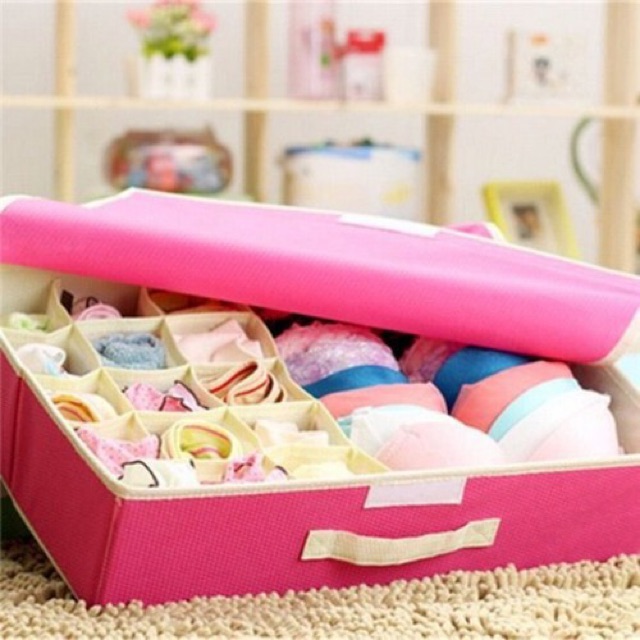 Hộp đựng đồ lót 16 ngăn có nắp đậy tiện dụng
