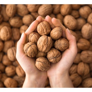 1kg quả óc chó nhập khẩu úc