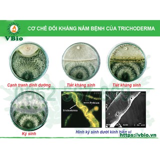Men ủ sinh học Tricoderma -Chế phẩm sinh học Trichoderma - Phân ủ vi sinh
