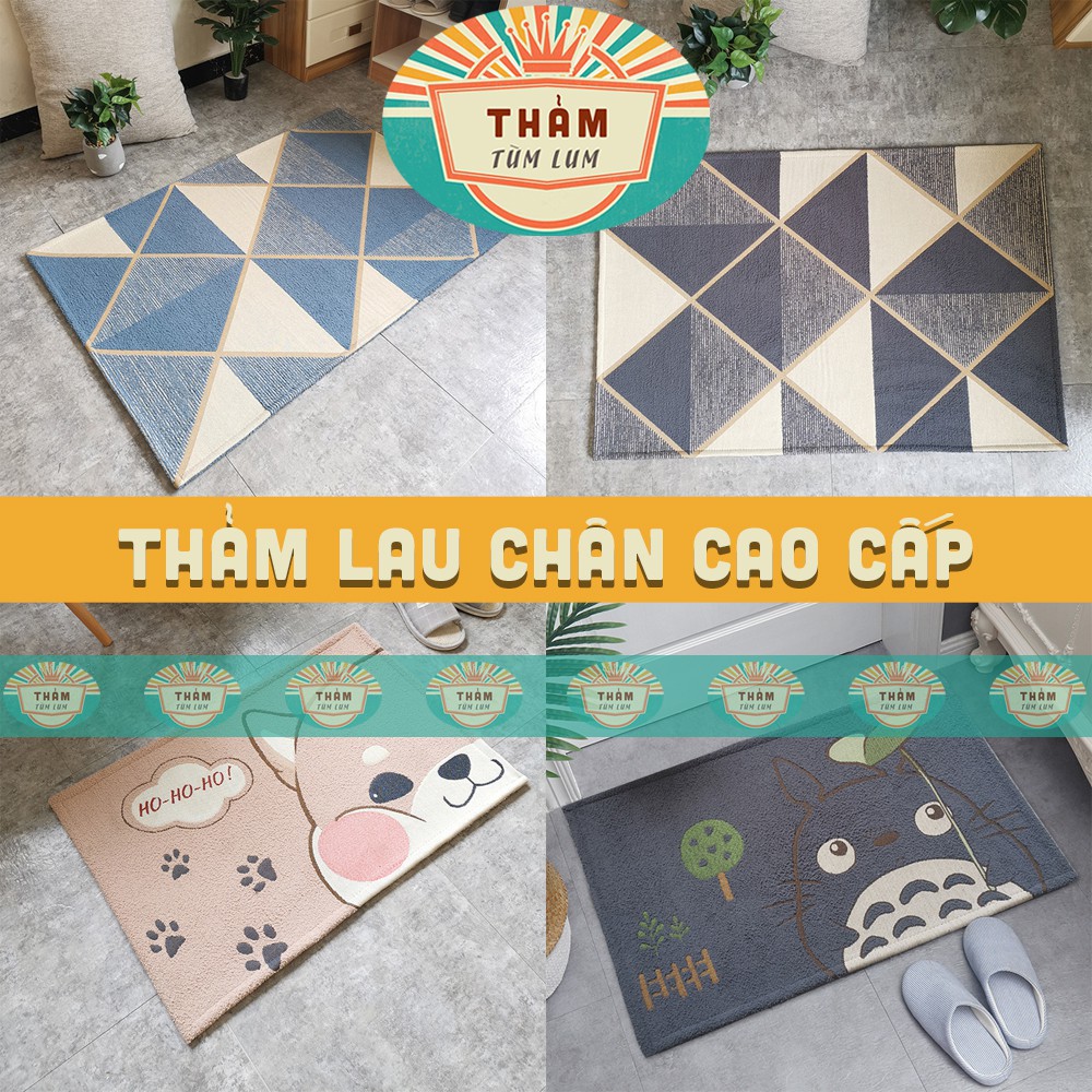 THẢM chùi chân THẢM lau chân hoa văn hiện đại - TLC 1