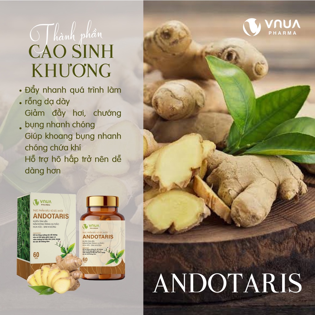 Andotaris VNUA Pharma Viên Uống Tăng Sức Đề Kháng Giảm Nguy Cơ Viêm Đường Hô Hấp, Viên Uống Xuyên Tâm Liên - Hộp 60 Viên