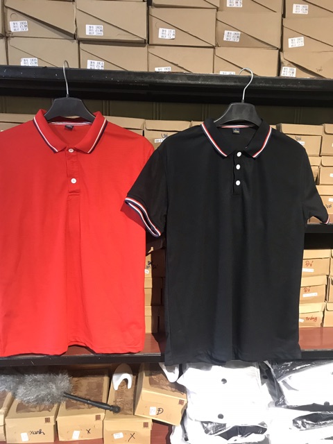 Áo thun nam nữ Polo cổ bẻ ngắn tay nhiều màu cao cấp vải cotton sợi thấm hút mồ hôi thoải mái khi mặc T19 | BigBuy360 - bigbuy360.vn
