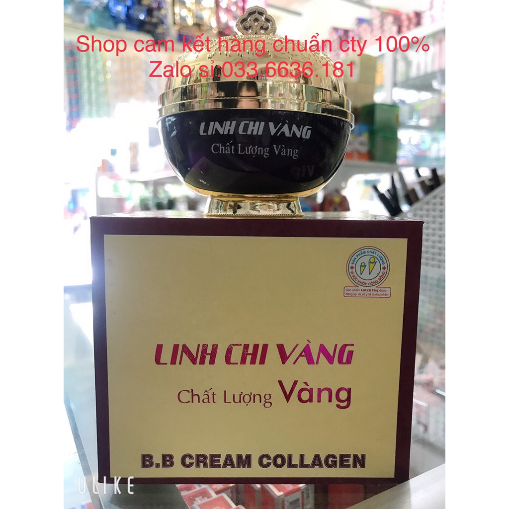 kem hết nám Linh chi vàng Vip hủ 35g