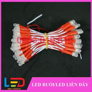 Led liền dây 12V (Led ruồi 12V) 100 bóng 1 bó