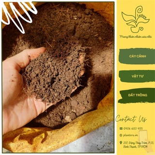 Đất Trộn Vi Sinh Trồng Rau Vinatap 5Kg - Đất Sạch - Đất Trồng Rau