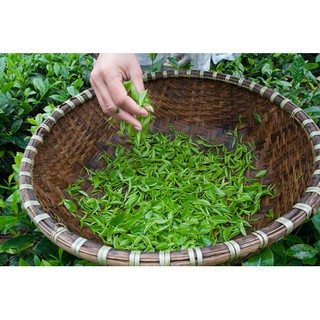 đặc sản chè thái nguyên