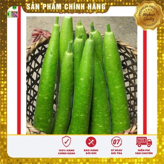 Hạt giống Bầu Sao Dài F1 2gr [Bán Sỉ]