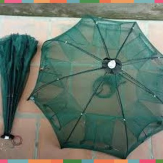 Lồng bát quái đánh bắt cá 8 cửa|do cau99|